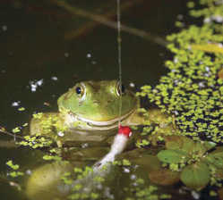 Outdoors: MDC offers frog gigging clinic in Mississippi County (6