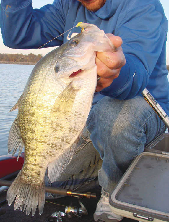 How to make a good jigging rod for crappie? Sam Heaton asked B'n'M and got  one.